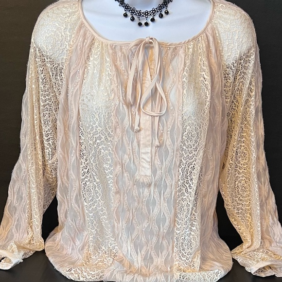 Robbie Bee Tops - ROZ & ALI Elegant Blush-Pink Sheer Sparkle & Lace Long Sleeve Blouse ~ XL ~